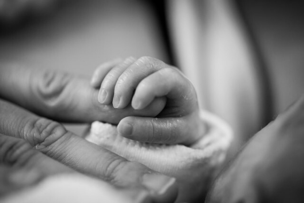 Greyscale photo of newborn baby holding finger. Photo by Pixabay.